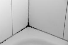 Geringe Schimmelspuren in den Fugen zwischen den Keramikkacheln 